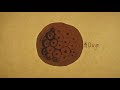 Stem cells - the future: an introduction to iPS cells