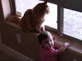 Baby + Cat = Funny