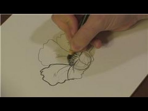 Drawing Plants & Flowers : How to Draw Tropical Rainforest Plants - YouTube