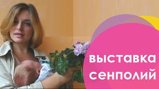 Выставка фиалок, макияж двойные стрелки, OOTD в дождь