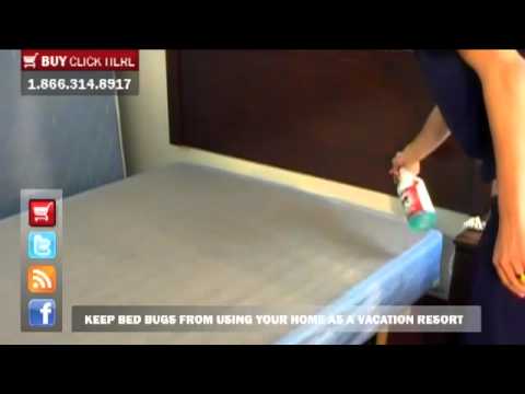 How to Destroy Bed Bugs Quickly & Safely - YouTube