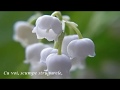 LACRAMIOARE - MOZART- Piano Concerto No.21- Andante HD 1080