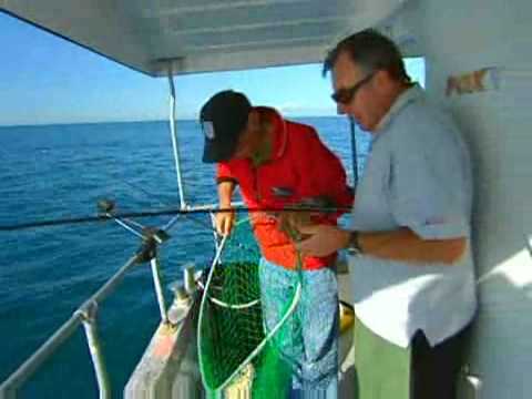 sky sports Keith Arthur and Alan Yates cod fishing on Brighton diver october 2008