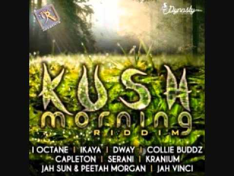 Ikaya - Brand New (Kush Morning Riddim) 2012 - YouTube