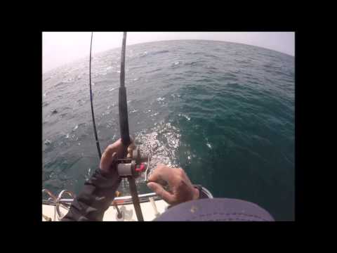 Wreck fishing for Cod on Kelleys Hero 2