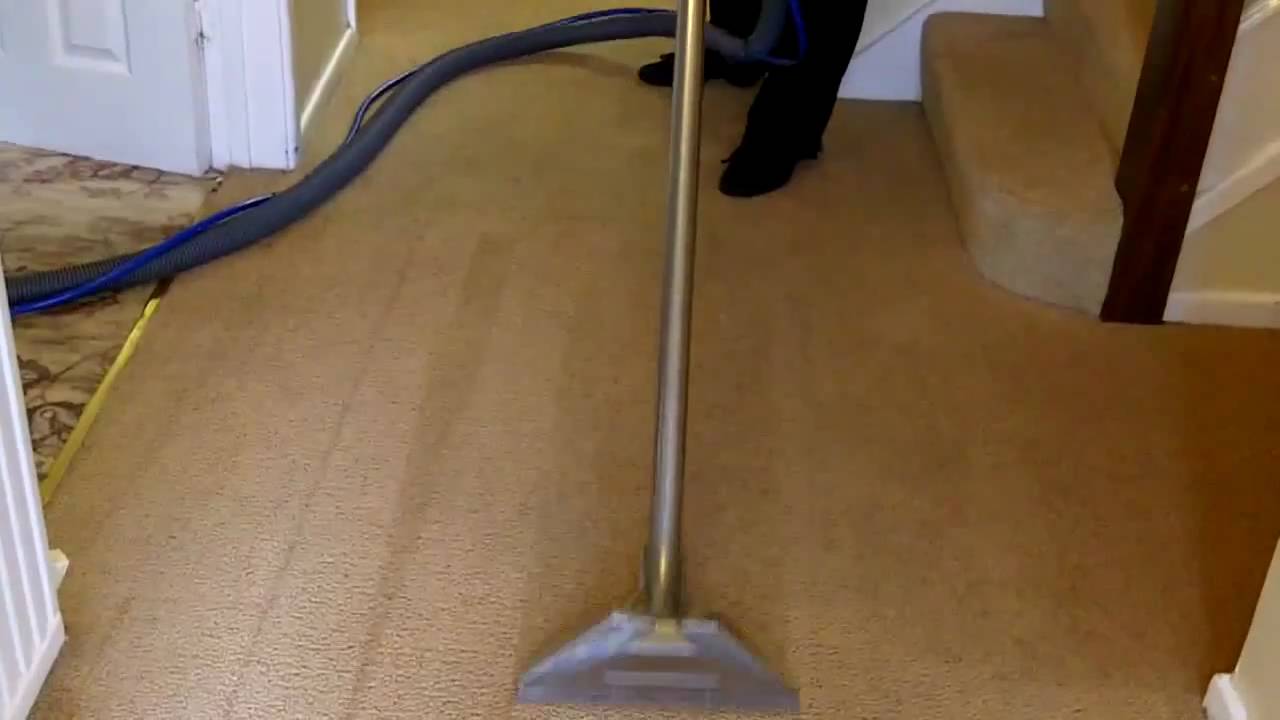 How To Keep Hallway Carpet Clean at Tiffany Edwards blog