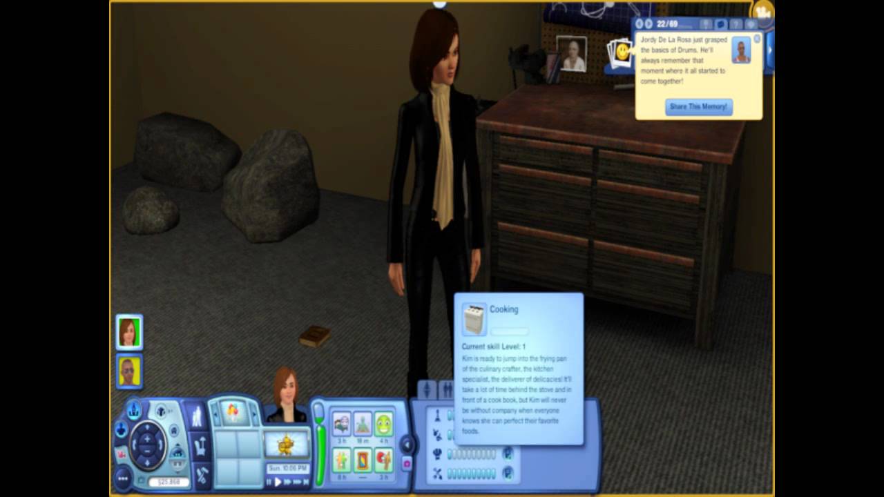 sims 3 installer that finds bad cc