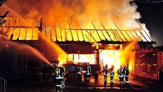 Bauernhof in Twiste bei Großbrand zerstört: Fünf Verletzte, Pferd stirbt im Feuer