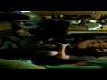 The Curse of the Death Cat-full movie