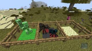 [EL610] MineCraft 1.8: SnapShot 14W05A/B "Fantasmi e Barriere Invisibili"