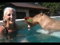 Visiting Garibaldi ROUS, the Pet Capybara