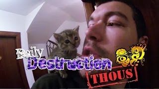 Daily Destruction Thous 89 - La Nueva Habitante de la Casa