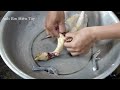 Lẩu Gà Ớt Hiểm + Cá Tai Tượng Chiên Xù _AEMT_