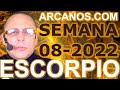 Video Horscopo Semanal ESCORPIO  del 13 al 19 Febrero 2022 (Semana 2022-08) (Lectura del Tarot)