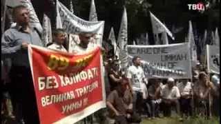 Украина. Хроники смуты. [ Специальный репортаж ]