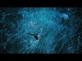 Planète Océan [FR] Yann Arthus-Bertrand - le film Full HD