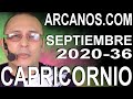 Video Horóscopo Semanal CAPRICORNIO  del 30 Agosto al 5 Septiembre 2020 (Semana 2020-36) (Lectura del Tarot)
