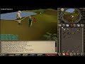 Runescape 2007 Quest Guides: Big Chompy Bird Hunting