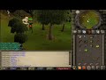 Runescape 2007 Quest Guides: Big Chompy Bird Hunting