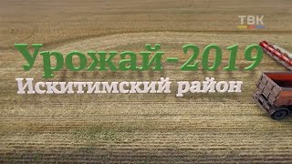 «Урожай – 2019. Искитимский район»