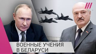 Личное: Тактика сдерживания ВСУ. Зачем Путин и Лукашенко проводят военные учения в Беларуси