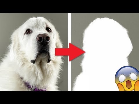 KODA'S MASSIVE MAKEOVER