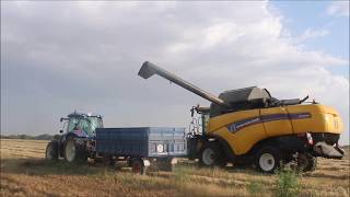 Cosecha del cereal en Castilla La Mancha 2018