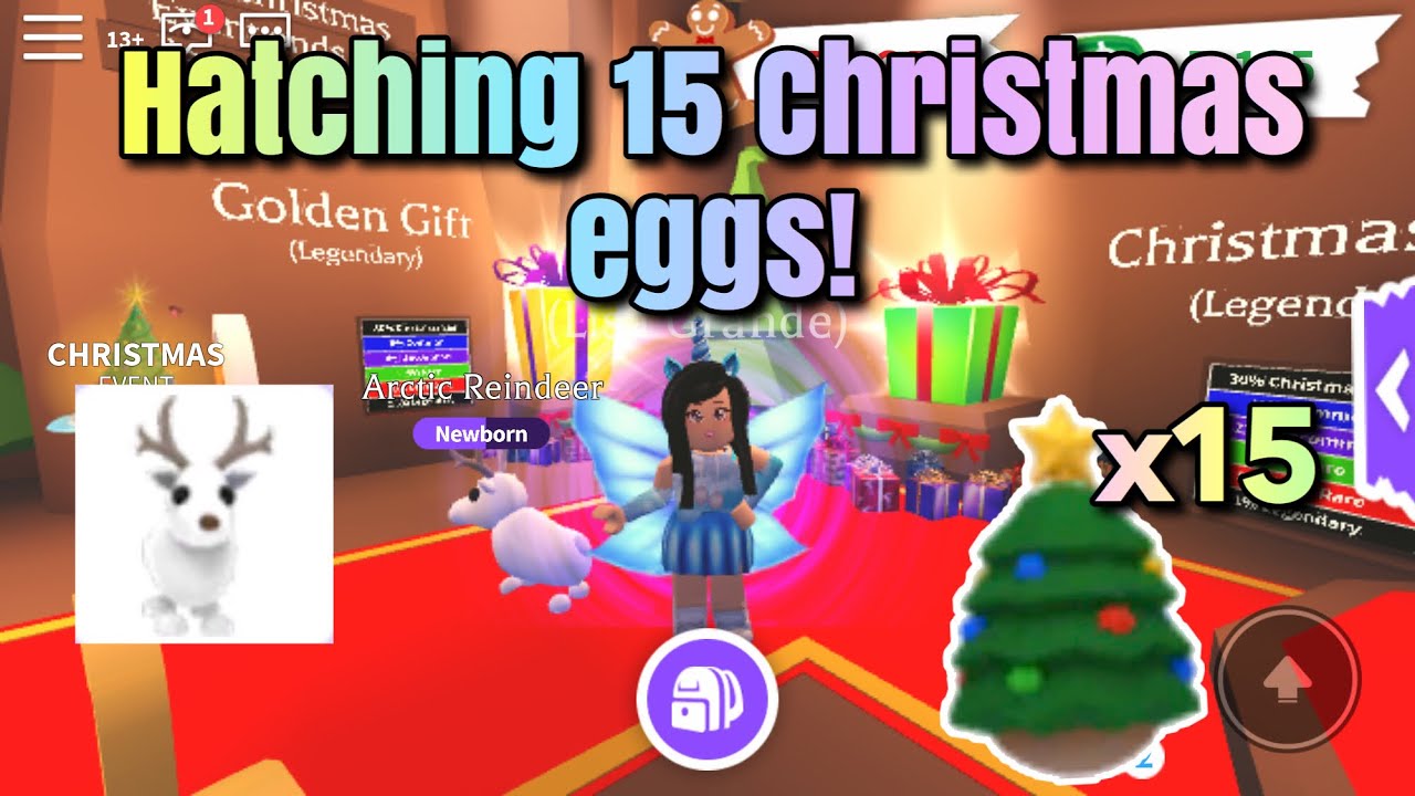 Christmas,Egg,Hatching,Challenge,for,10,000,Robux!,*SURPRISE*,Ending!,Roblo...