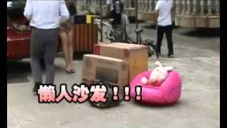 富二代新生开学,只不过是一次大规模迁徙
