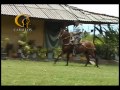 criadero la juliana parte 2