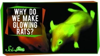 Why Do We Make Glowing Rats?