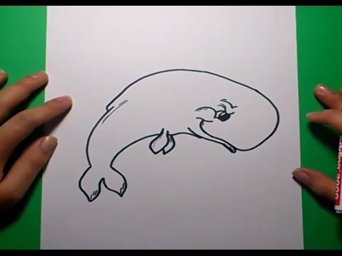 Como dibujar una ballena paso a paso 3 