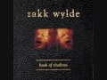 Zakk Wylde - I Thank You Child [with Lyrics] - Youtube
