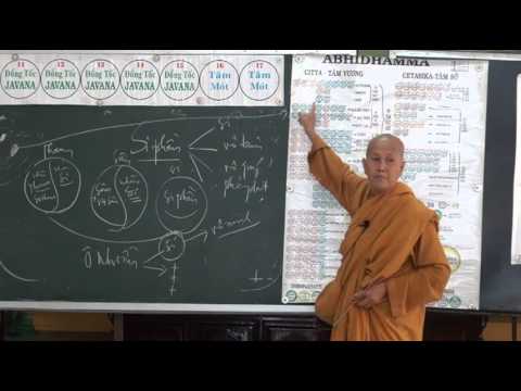 Vi Diệu Pháp - 14 Bài Thập Thiện Yếu (Kỳ 1)
