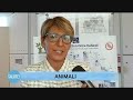 Sommario 29 puntata anno 2013-14 Sommario 29 puntata anno 2013-14
