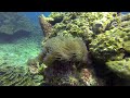 GoPro Hero 3 Back Scatter Red Filter Underwater Review, Pulau Redang