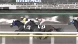 大珍事！船橋競馬で１度止まった馬が差し切り勝ち