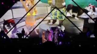 Katy Perry - International Smile/Vogue , Prismatic World Tour Belfast May 7 2014