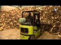 Le chauffage au bois : une énergie au succès grandissant.