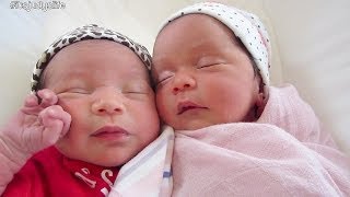 WELL BEHAVED IDENTICAL TWINS! - March 13, 2014 - itsJudysLife Vlog