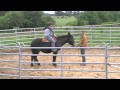 Venus first ride