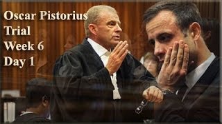 Oscar Pistorius Trial: Monday 14 April 2014, Session 1