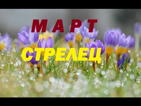 Таро гороскоп октябрь 2016 стрелец Таро гороскоп октябрь 2016 стрелец