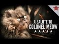 A Salute to Colonel Meow