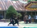 pencak silat SMA negeri 1 Bayang album artwork