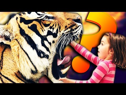 Как сделать в garry s mod на русском Как сделать в garry s mod на русском