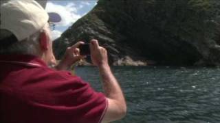 Whale of a boat tour: Newfoundland and Labrador Tourism