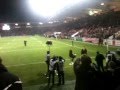 Un petit chat traverse un terrain de rugby lors de Stade Toulousain - ASM Clermont TOP 14