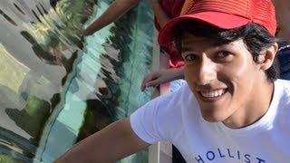 Playa y Acuario | Los Polinesios Vlogs | Log Beach Acuario del pacifico