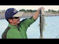 Fishing with Rod: Lure Casting for Pikeminnow